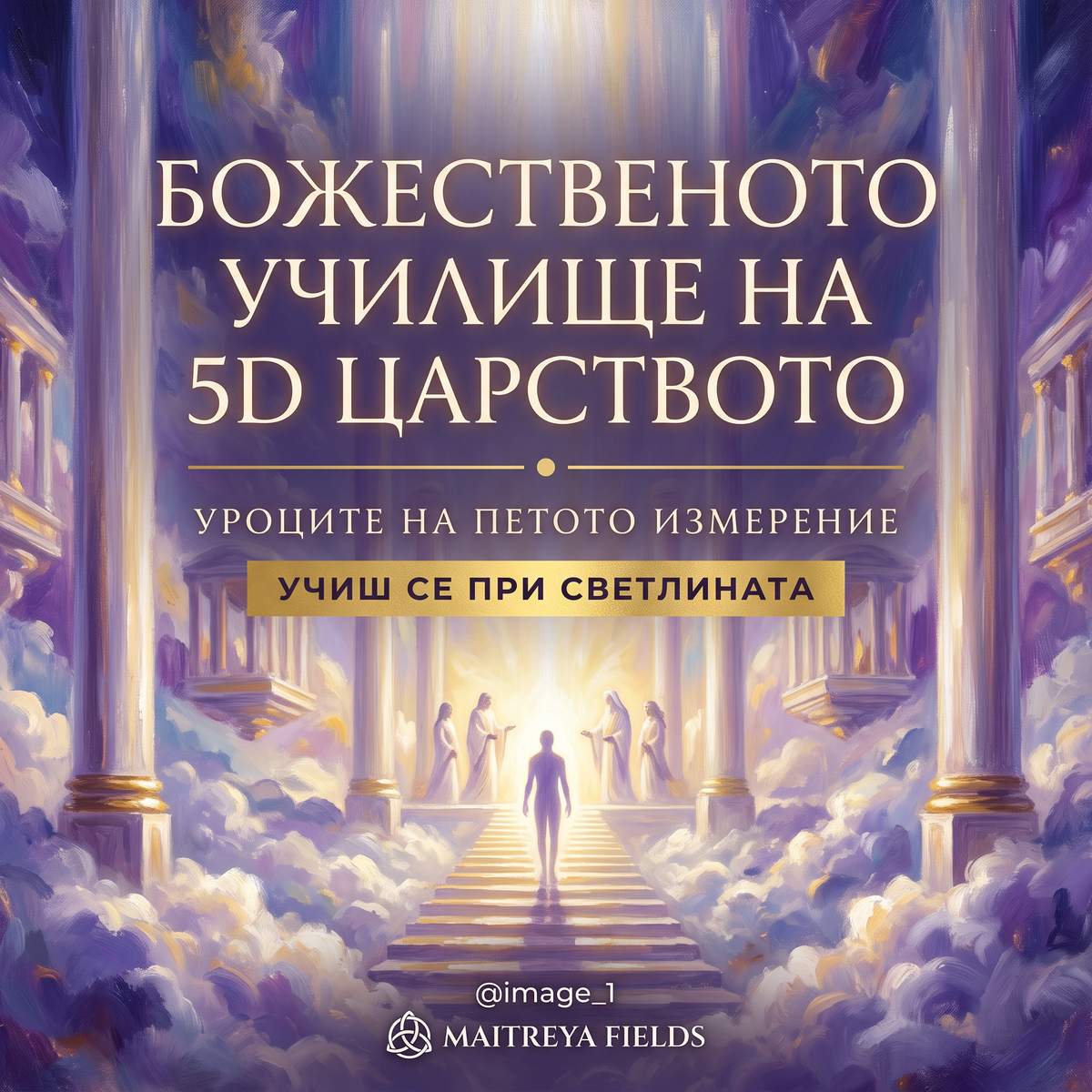 БОЖЕСТВЕНОТО УЧИЛИЩЕ НА 5D ЦАРСТВОТО — българска корица