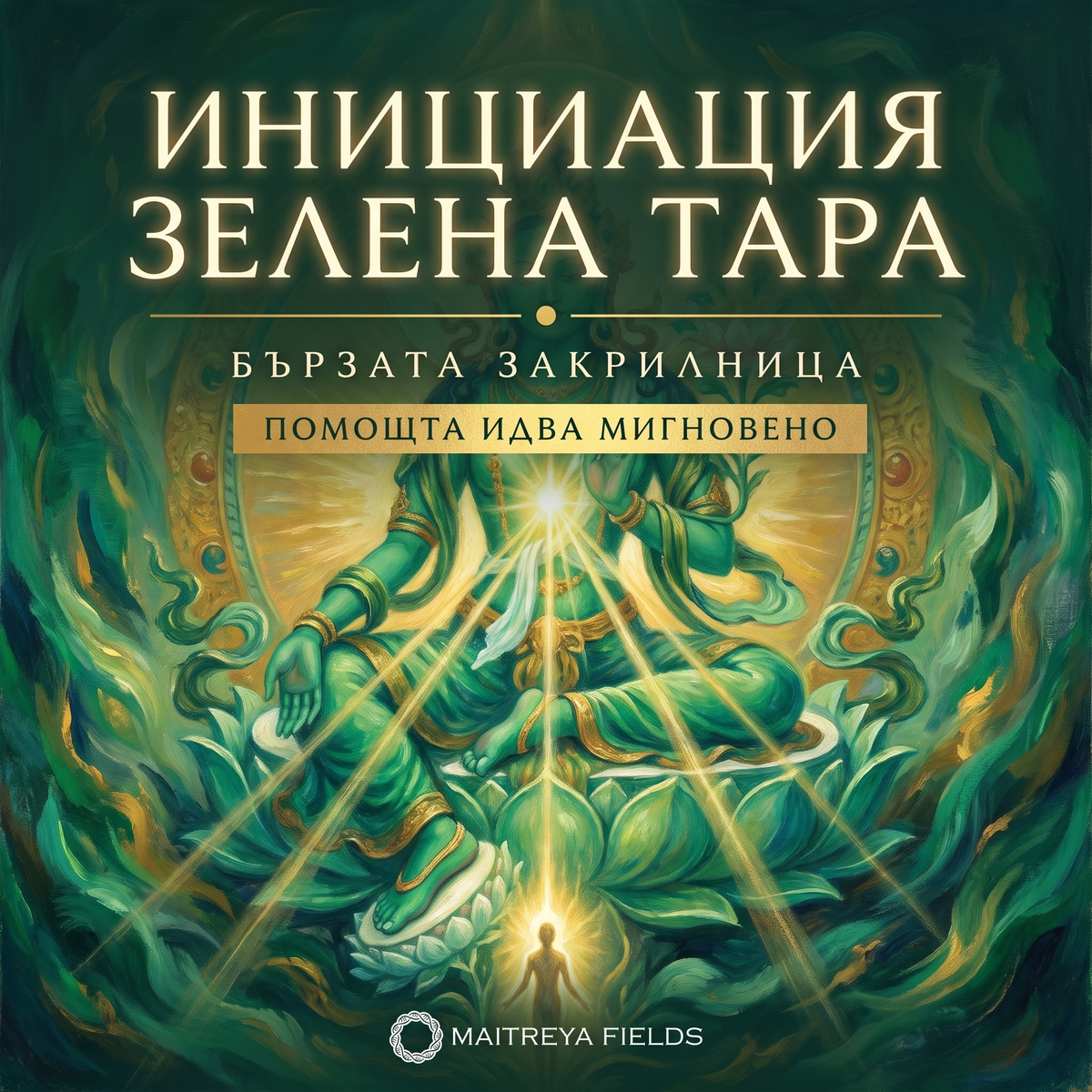 ИНИЦИАЦИЯ ЗЕЛЕНА ТАРА — българска корица