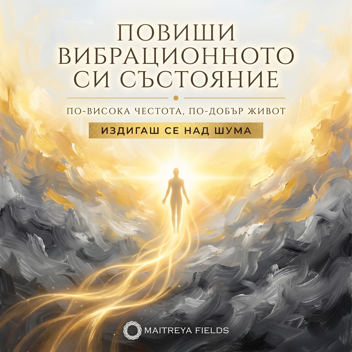 ПОВИШИ ВИБРАЦИОННОТО СИ СЪСТОЯНИЕ — българска корица